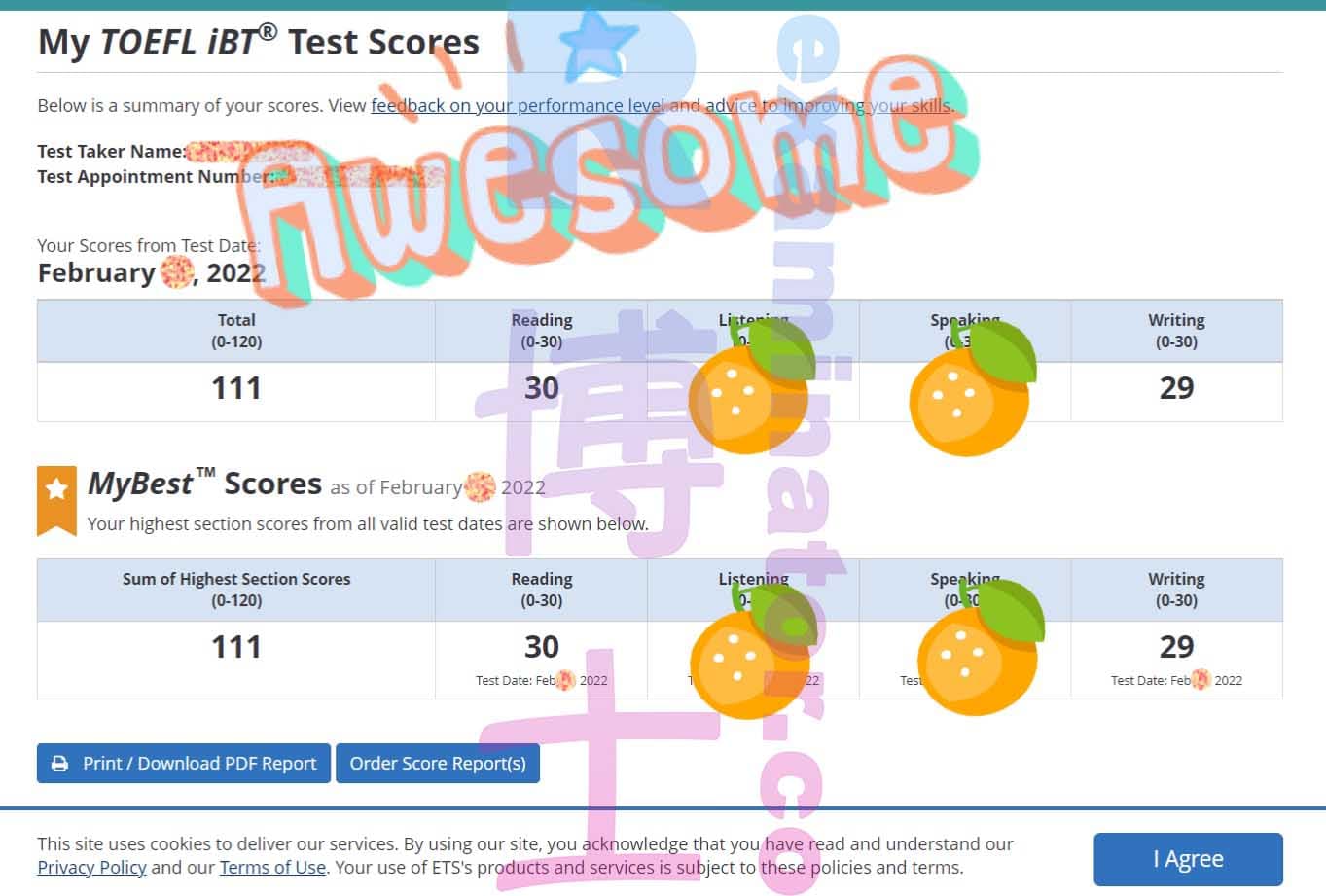 score image for TOEFLでの不正行為 success story #273